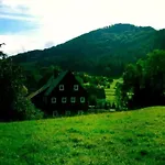 Martlhaus By Interhome * Großschönau