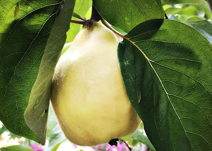 Martlhaus By Interhome بيت للعطل